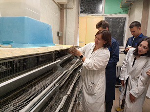 Кадры для развития птицеводства в регионе